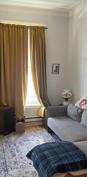 Petite Italie - 3 1/2 Avec Cour Arrière - Photo 1