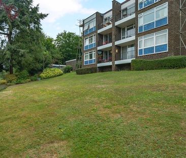 Filmer Grove, Godalming, Surrey, GU7 - Photo 5