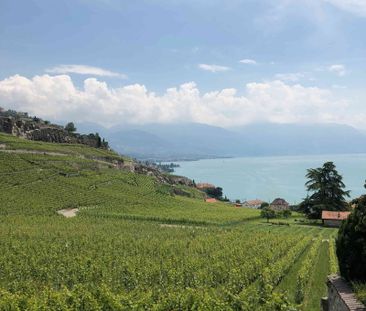 2.5 Zimmer, 56 m², EG - Photo 4