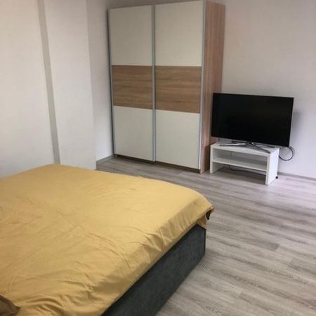 De inchiriat apartament o camera Blascovici - Fotografie 3