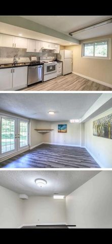 For Lease - 225 Morningview (Lower Level) Trail, Toronto, Ontario - Photo 4