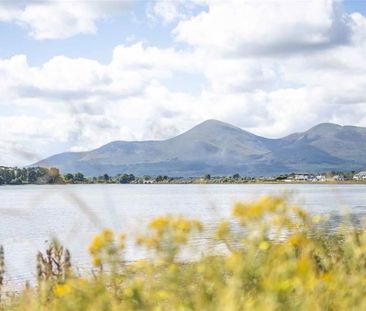 2 The Quay, Dundrum, Newcastle, BT33 0LS - Photo 5