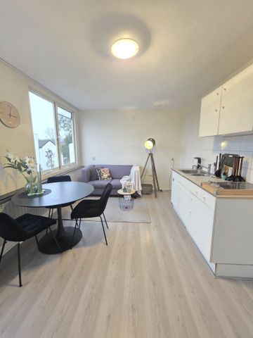 Landauerdrift 3436XG Nieuwegein - Foto 3