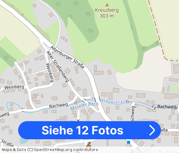 Helle Zweiraumwohnung mit Einbauküche in Zwickau - Foto 1