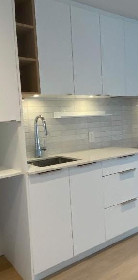 1 CH - 1 SDB - Montreal - $1,710 /mo - Photo 1