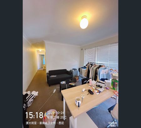 A-Fully Furnish-L2B/6 Keith St, Dulwich Hill, NSW 2203 - Photo 5