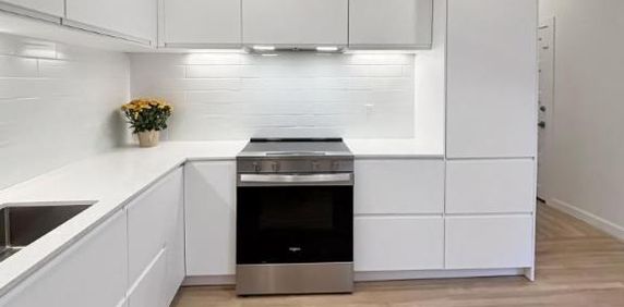 4 1/2 - Montréal (Centre-Sud) - 2 350 $/mois - Photo 2