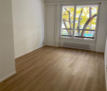 "Komplett sanierte, grosszügige Single-Wohnung mit zwei Terrassen" - Photo 4