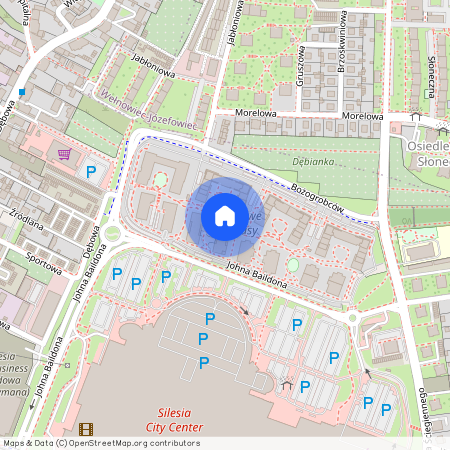 ul. Johna Baildona, Dąb, Katowice, śląskie