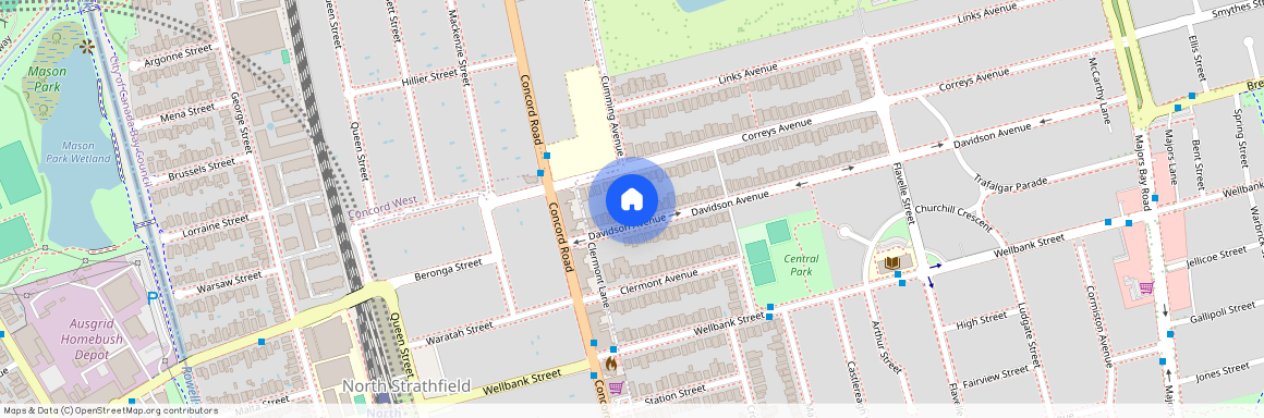 119 Davidson Avenue, NSW 2137, Concord