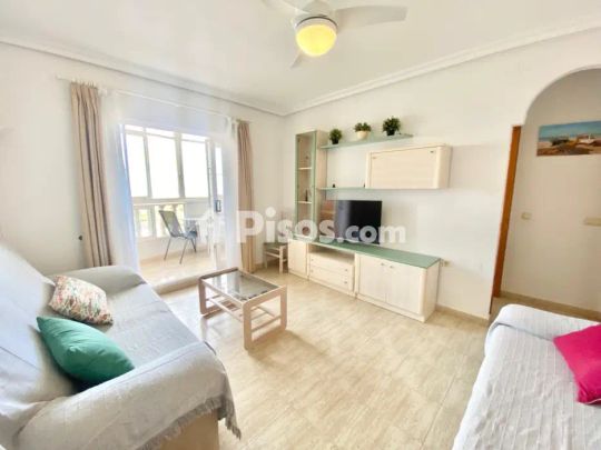Apartamento en alquiler en Torrelamata - La Mata - Foto 1
