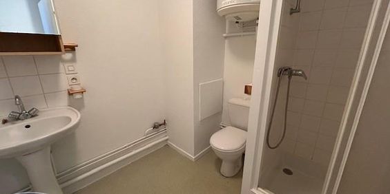 Location Appartement 1 pièce 21m² CLERMONT FERRAND 63000 - Photo 3