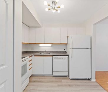 For Lease - 268 Lorry Greenberg Drive Unit# 113, Hunt Club - South ... - Photo 3