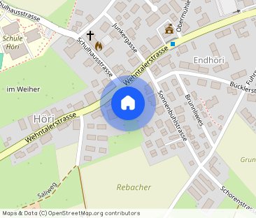 3.5 Zimmerwohnung in Höri - Photo 1