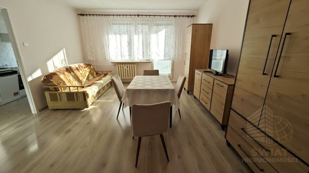 Kijewo - wynajem, 1 pok. 35m - Zdjęcie 1