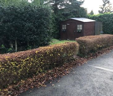 Chalet te huur - Foto 1