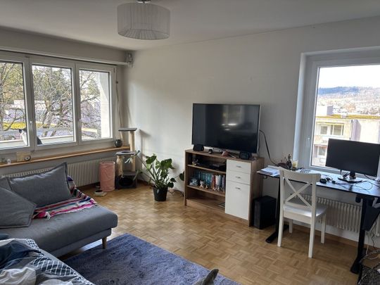 FOR CAT LOVERS IN ZURICH – KREIS 9 ALTSTETTEN, FURNISHED, TEMPORARY - Foto 1