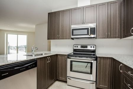 For Lease - 33 Whitmer Street Unit# 309, Milton, Ontario - Photo 3