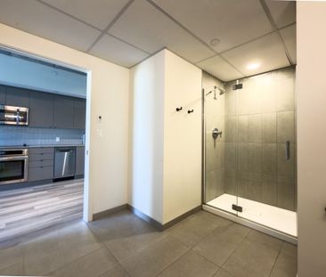 For Lease - 770 Somerset Street Unit# 507, West Centre Town, Ontario - Photo 1