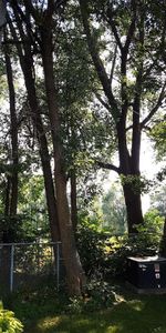 Grand 3 1/2 devant le Golf tranquil et acces facile - Photo 4