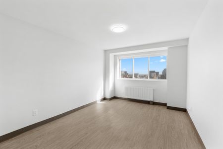 Condo for rent, Montréal (Le Plateau-Mont-Royal) - Photo 4