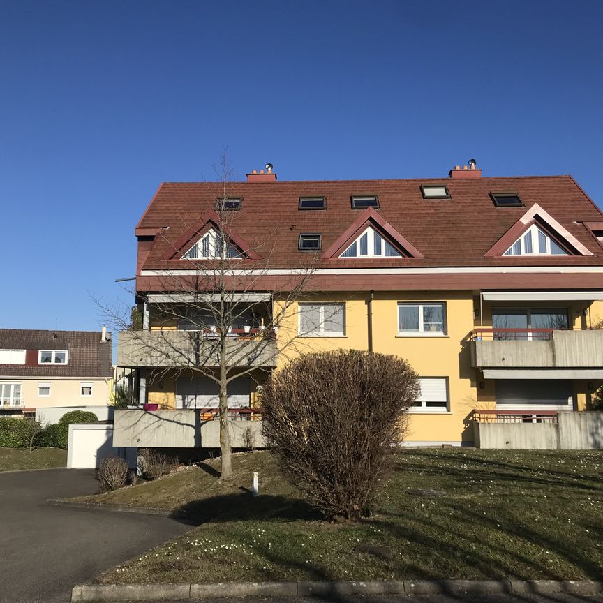 Location Appartement 3 pièces 55m² ST LOUIS 68300 - Photo 1