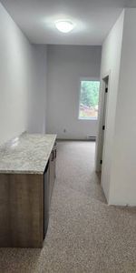 Unique opportunity to join our new custom built co-living home! - Photo 4