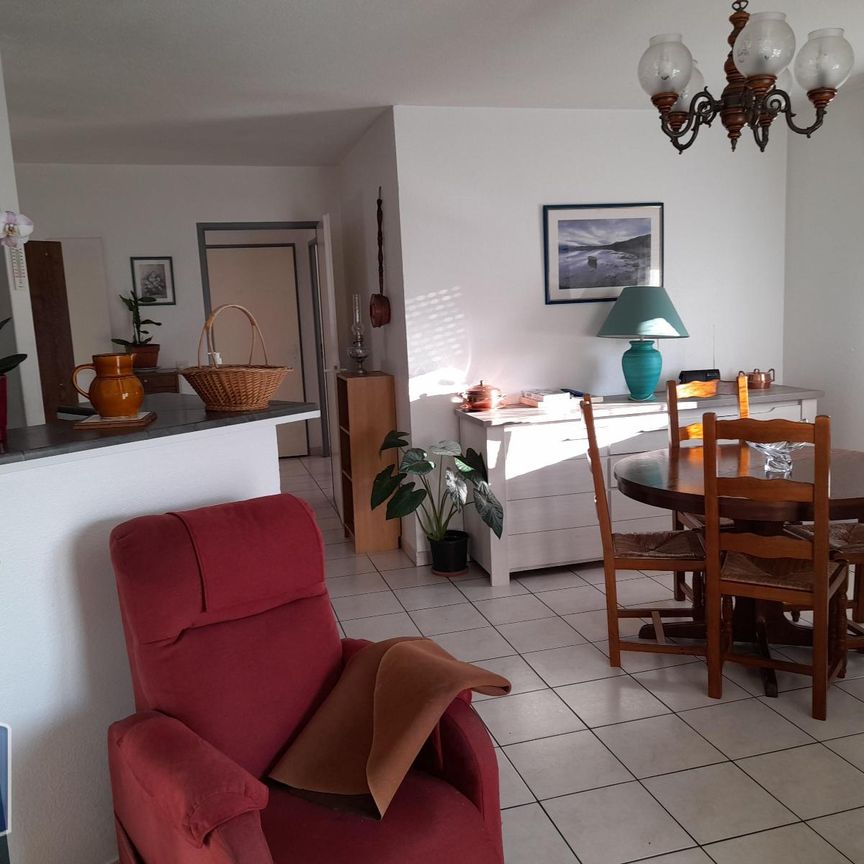 Location Appartement 3 pièces 64m² CARCASSONNE 11000 - Photo 1