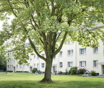 3-Zimmer-Wohnung mit Balkon in Mönchengladbach-Windberg mieten - Photo 2