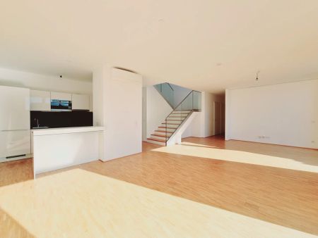 115 m² Penthouse mit 95 m² Terrassen – Top-Ausstattung, Sofortbezug - Photo 4