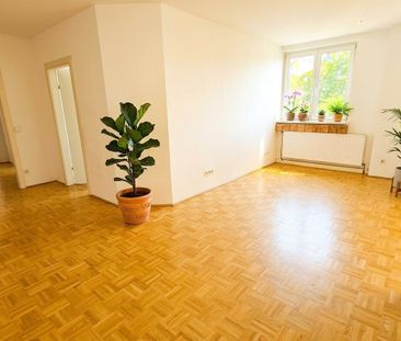 4020, Linz - Photo 5