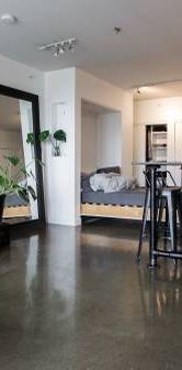 Renovated Bright & Spacious Studio - Pet-Friendly, Unfurnished - Photo 1