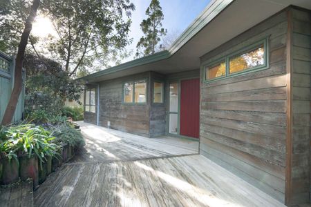 Centrally Located Oasis - Whau Valley - Photo 5