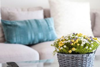 Rua Imperatriz Dona Amelia