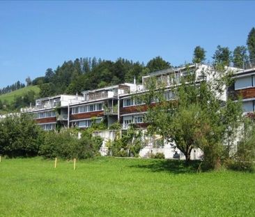 Location après rénovation. Le coin le plus calme de la Zürchermatte. - Foto 5