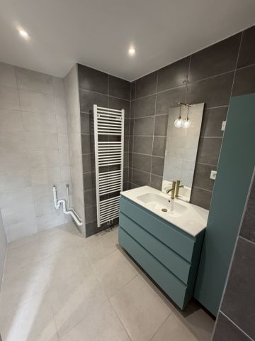 Location Appartement 2 pièces 52m² FEURS 42110 - Photo 5