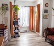 1 room apartment of 71m² in Sherbrooke - Photo 2