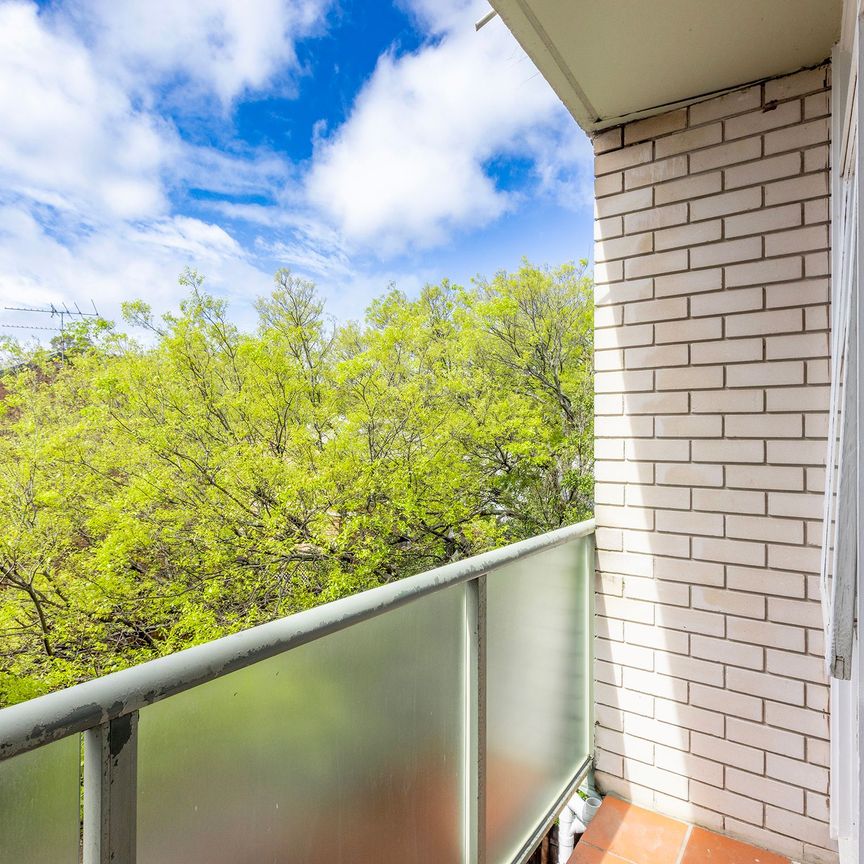 Studio apartment in the Heart of Glebe - Photo 1