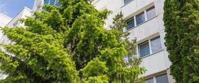 Ihre neue 2-Zimmer-Wohnung wartet. Termin vereinbaren und ansehen! - Foto 1