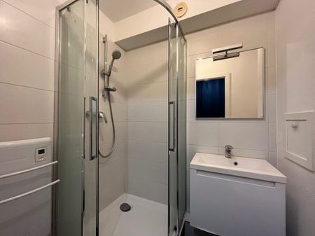 Strasbourg-Neudorf - Joli F1 20m² - Photo 3