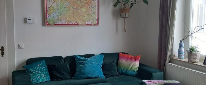 Schöne 2 Zimmer Wohnung, Altbau, mit Gartennutzung - Photo 1