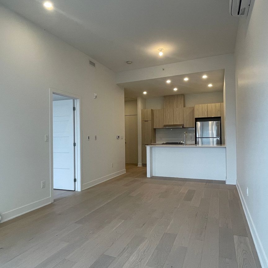 10130 Rue Lauraine Vaillancourt, Montréal (Ahuntsic-Cartierville), QC H3L - Photo 1