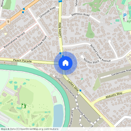 54 Ladies Mile, Remuera, Auckland City