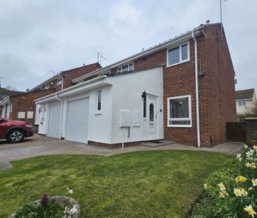 3 bedroom house to rent - Photo 1