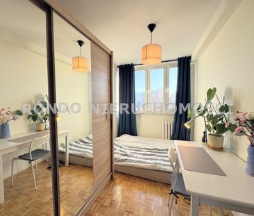 Wrocław, Krzyki, Jastrzębia - Фото 6