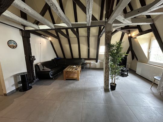 Location Appartement 3 pièces 58m² SAUMUR 49400 - Photo 1