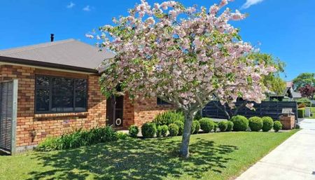 4-Bedroom Home in Central Cambridge – Walk to Town! - Photo 5