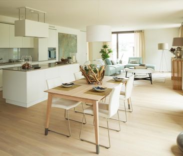 "Sie brauchen Platz? ROY" hat ihn!" - Photo 2