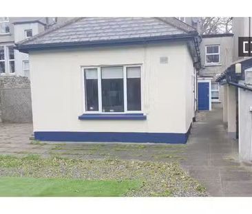 1-bedroom apartment for rent in Terenure, Dublin - Photo 6
