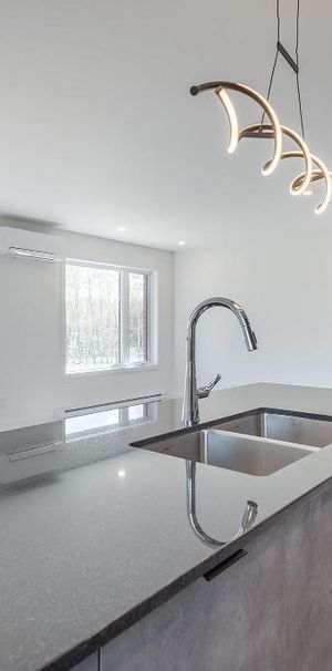 Condo 5 1/2 à louer St-Hyacinthe (Douville) - Photo 1